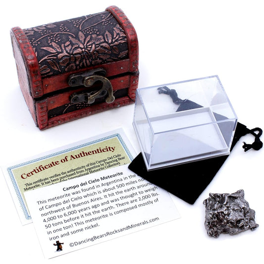 Authentic Extra Large Massive 50-60 grammes Meteorite from Campo Del Cielo, Argentina, includes Display Case, Velvet Pouch, Educational Card, & Wooden Handcrafted Treasure Chest Box, Dancing Bear Brand
