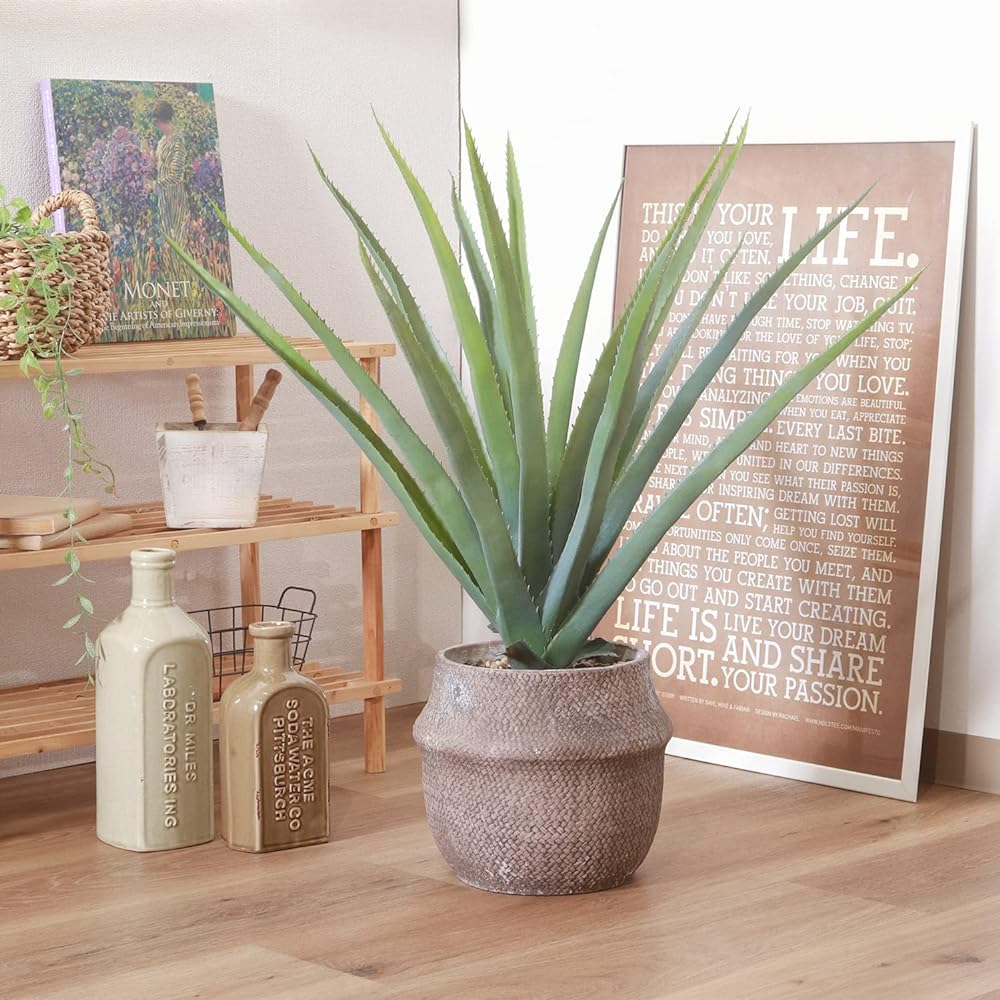 Fuji Boeki Fake Green Interior Green Artificial Plant Width 70 x Depth 75 x Height 75cm Aloe M Size Tabletop Cement Pot 41136