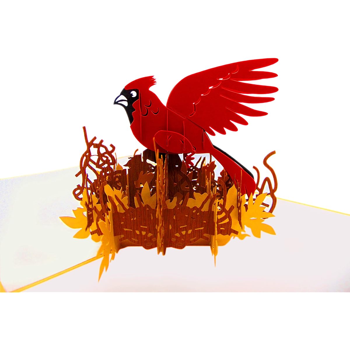 Cardinal Pop Up Cards 3D Pop Up Greeting Cards for Birthday, Valentine's, Mother's Day, Spring, Father's Day, Graduation, Wedding, Anniversary, Thank You, Great Deal, Any Occasion, 6" x 6"