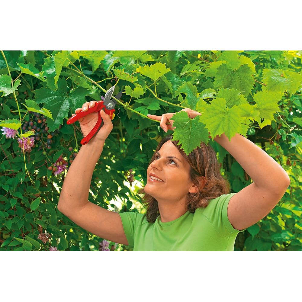 WOLF Garten Anvil Type Pruning Shears RS-2500