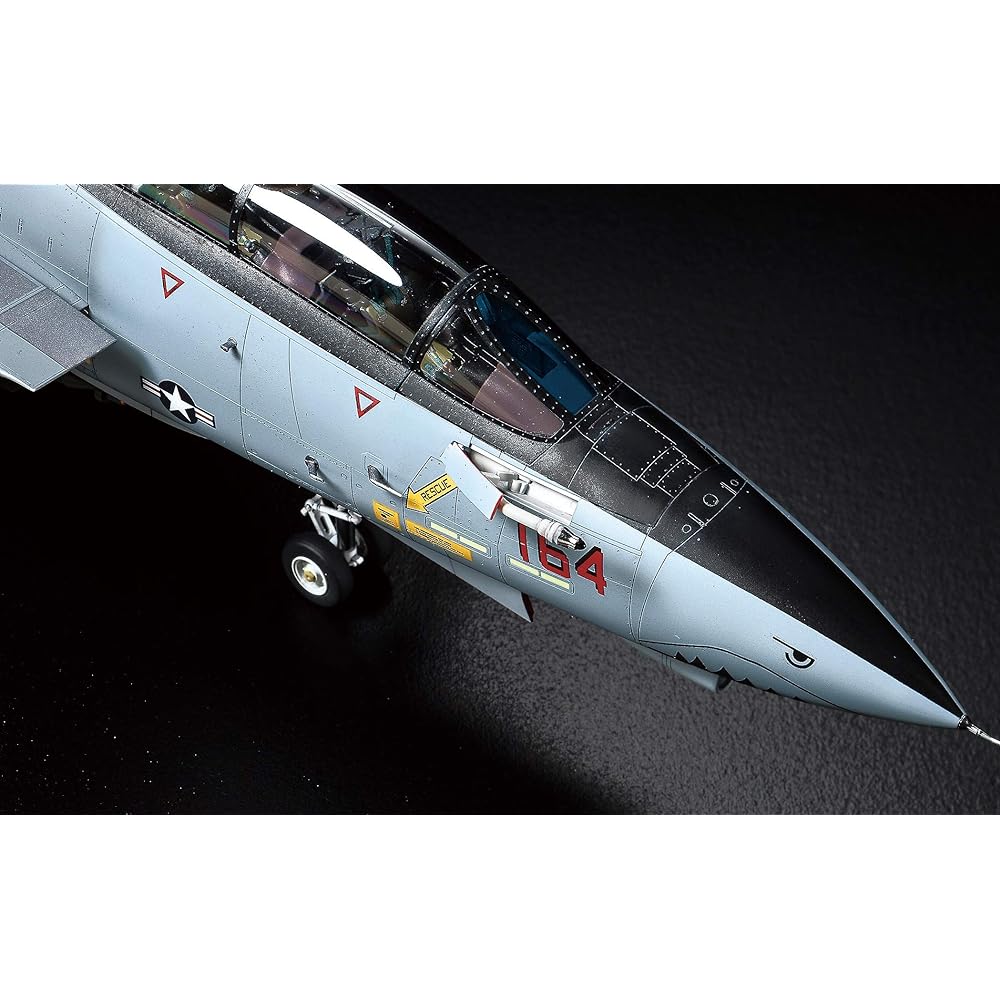 Tamiya 1/48 Masterpiece Series No.118 US Navy Grumman F-14D Tomcat Plastic Model 61118