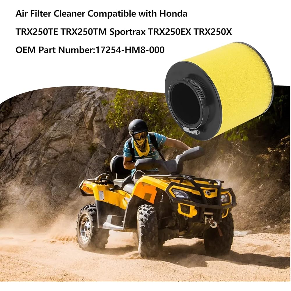 MOTOYUN 17254-HM8-000 Air Filter Cleaner Compatible with Honda TRX250TM Recon 250 02-09 11-14 16-17 TRX250TM FourTrax 250 02-10 TRX250X Sportrax 250 09-14 16-17 TRX. 250X 2016 (2 pieces)