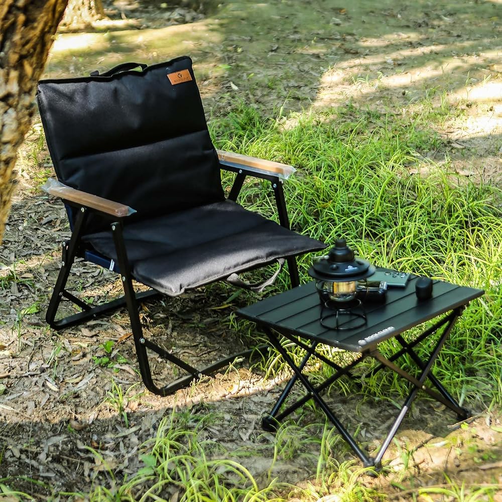 ROCK CLOUD Outdoor Chair with Cushion Cover, Low Chair, Folding Chair, Camping, Fishing, Picnic, Garden, Portable, Storage Bag Included