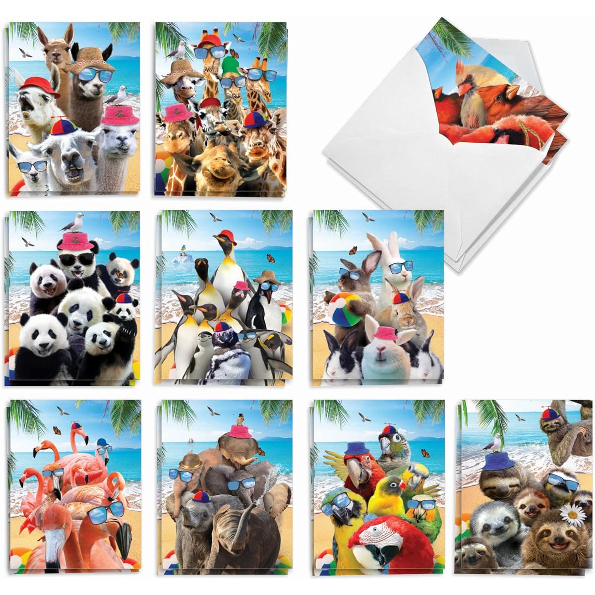 The Best Card Company Boxed Set of 20 Blank Notes 4 x 5.12 Inches with Envelopes (10 Designs, 2 of Each) Wildlife Photo Ops AM10209OCB-B2x10