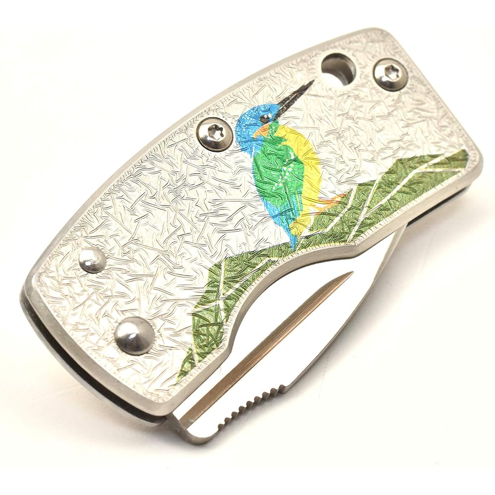 G・SAKAI Skull Money Clip Art Kawasemi Folding Knife