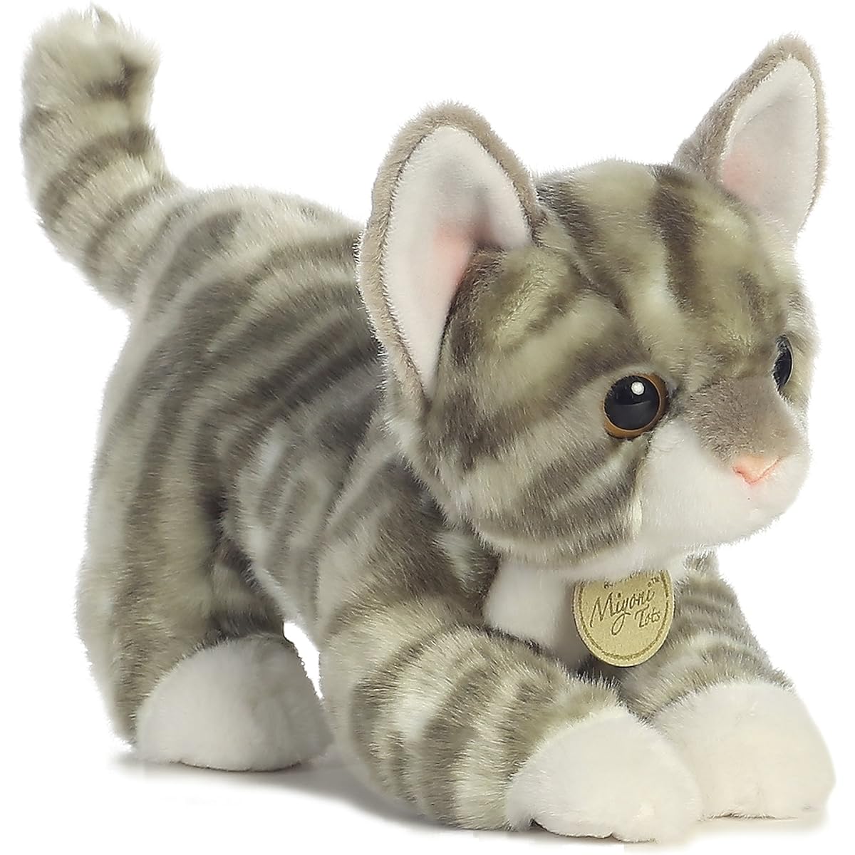 GREY TABBY KITTEN