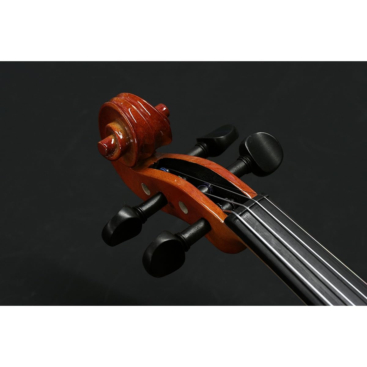 STENTOR Violin Outfit 4/4 size Hard case, bow, rosin included SV-180 4/4
