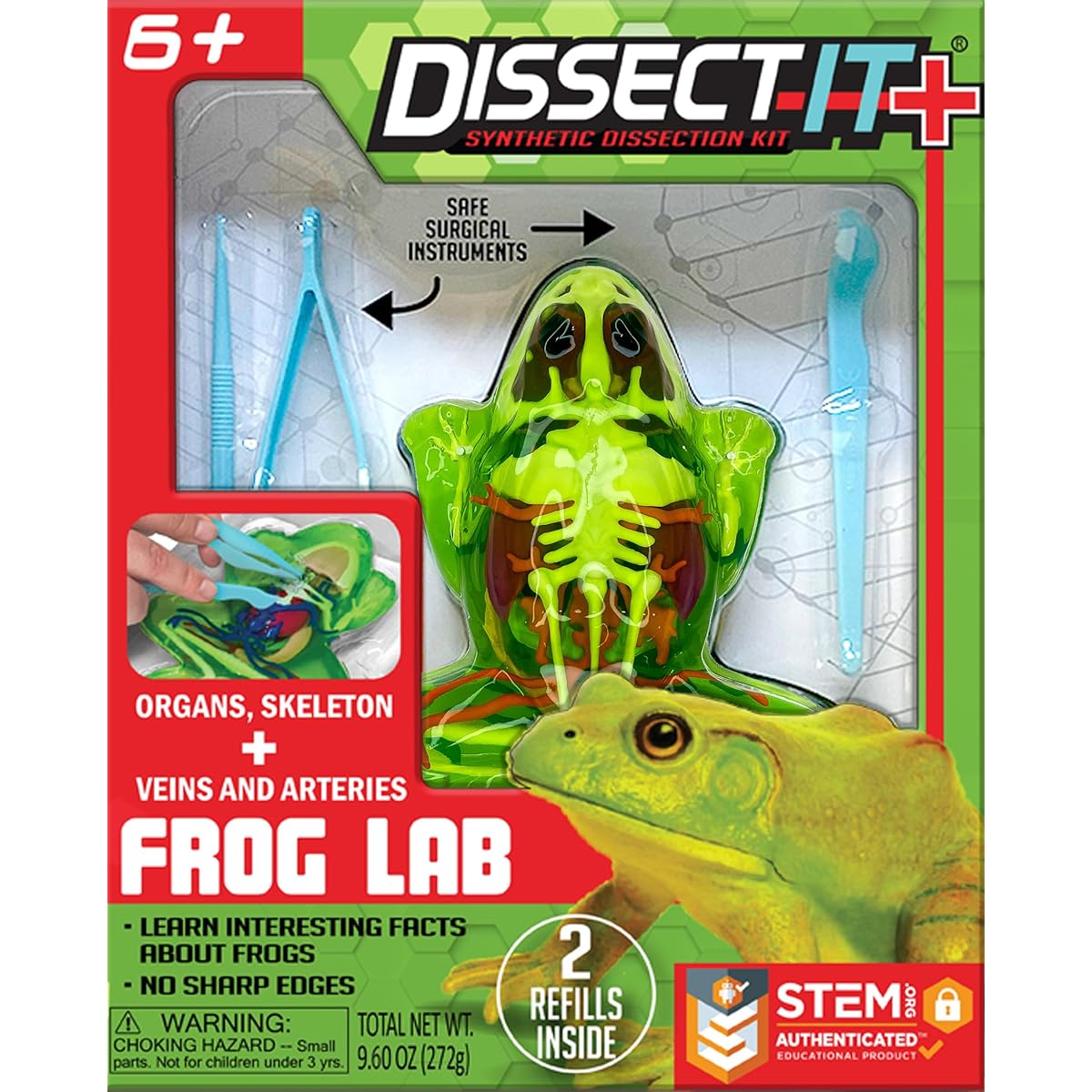 Dissect-It Plus Improved Frog Dissection Toy Kit - Realistic Lab Experience - No Real Frogs! No Smell - Squishy Gelatin STEM Projects - Animal Science Anatomy Home Learning for Kids Boys Girls
