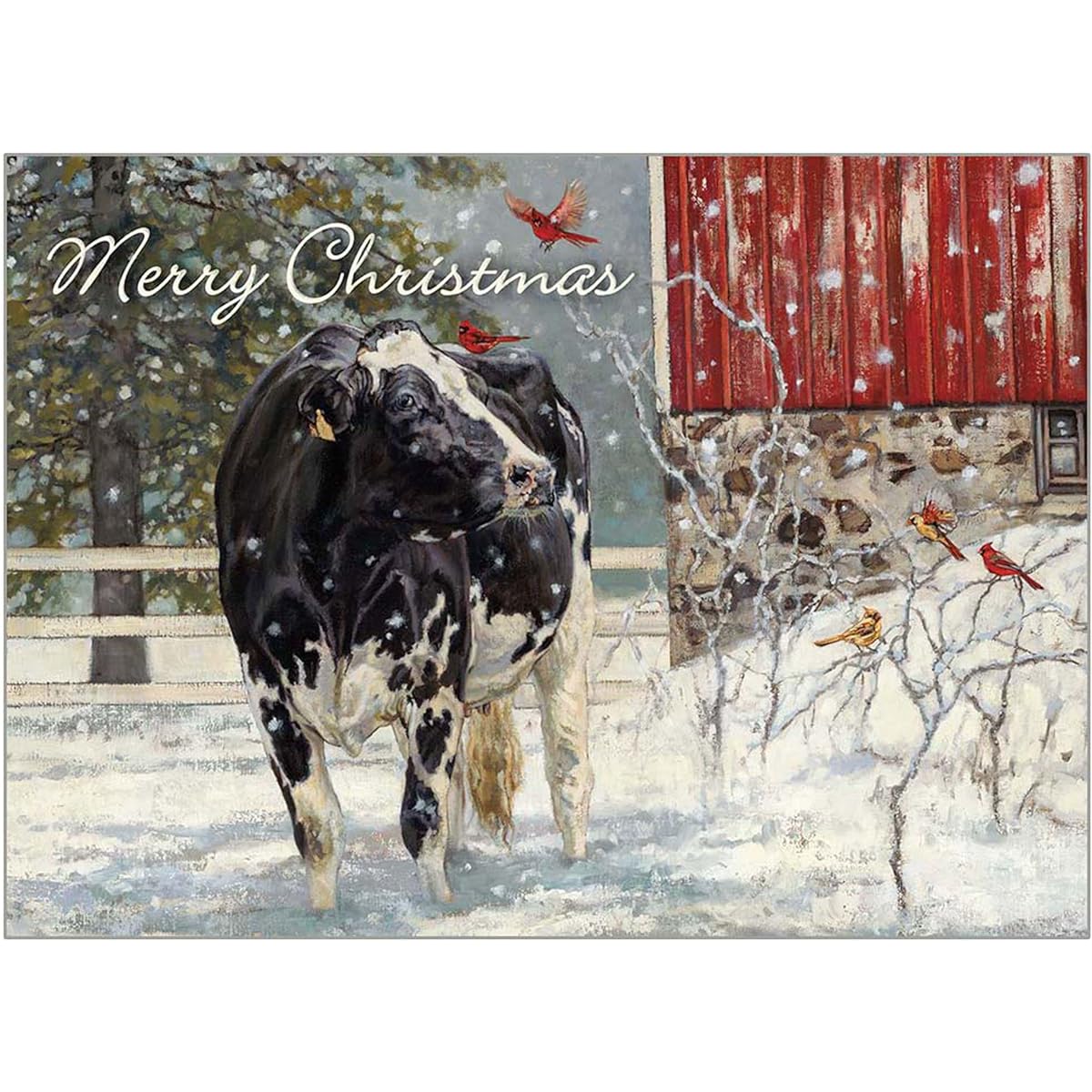 Legacy Cardinal Visitors White 7 x 6 Paper Boxed Christmas Holiday Cards, Set of 20