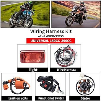 OTOHANS AUTOMOTIVE Fully Electrical Wiring Harness Stator Coil CDI Solenoid Relay Spark Plug Tail Light 4 Wheel Stroke ATV (150cc 200cc 250cc 300cc) Pit Dirt Bike Go Kart Zongshen Lifan