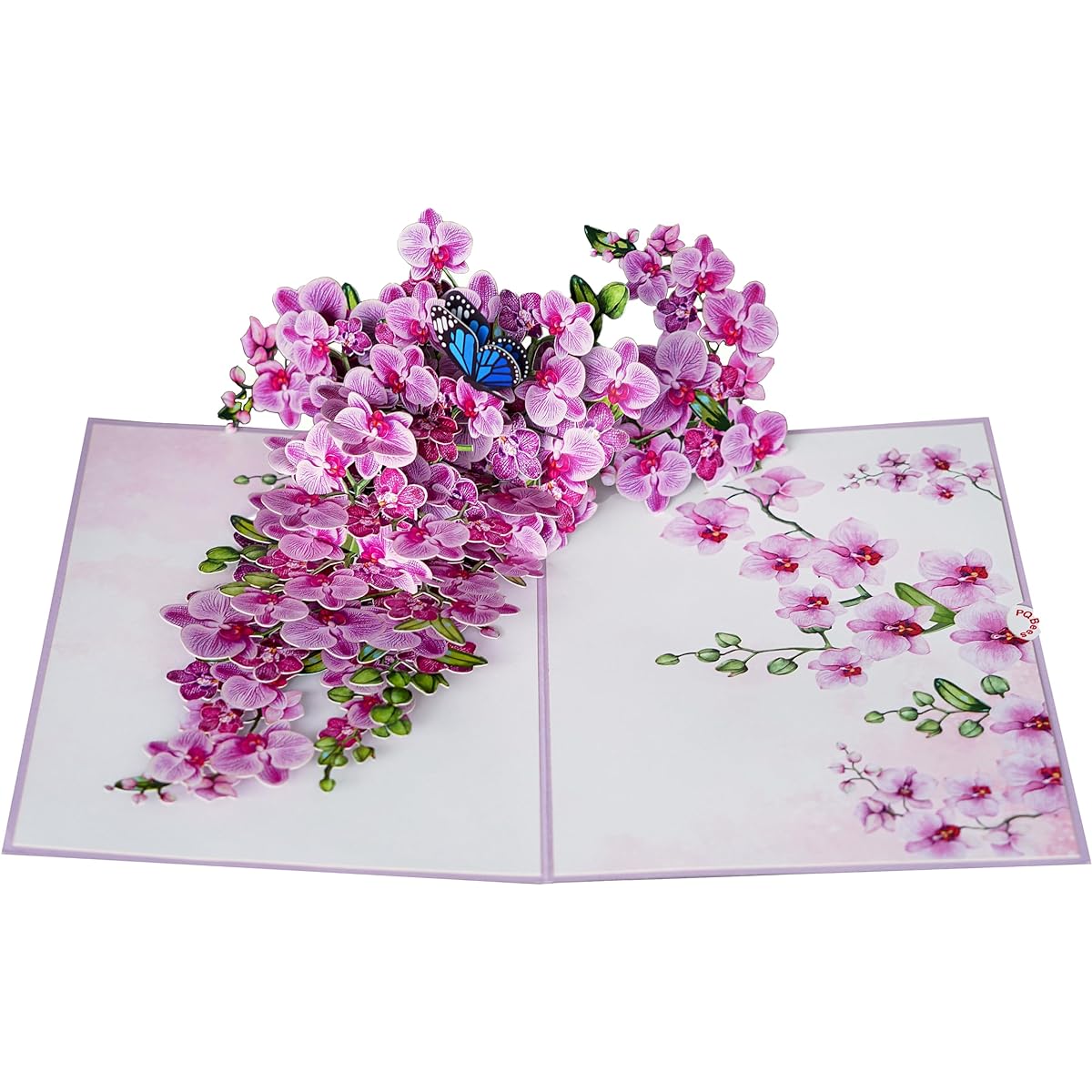 PQ Bees Birthday Pop Up Card 3D Mother's Day Anniversary Card (Size 6 x 8 Inch - Orchid)