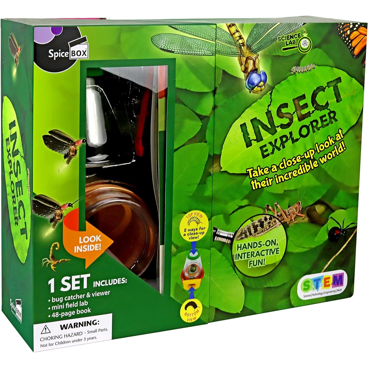 Science Lab Insect Exploration