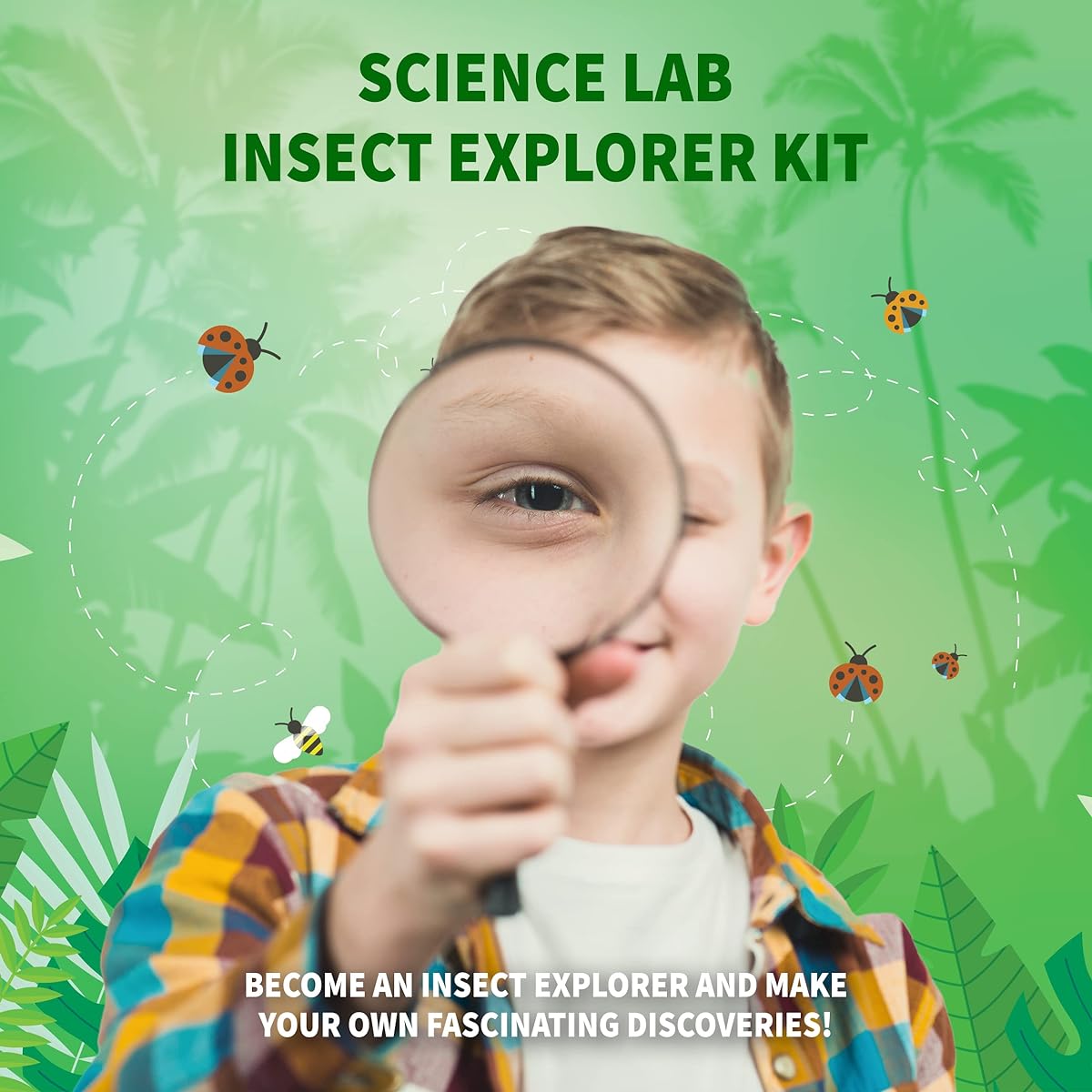 Science Lab Insect Exploration