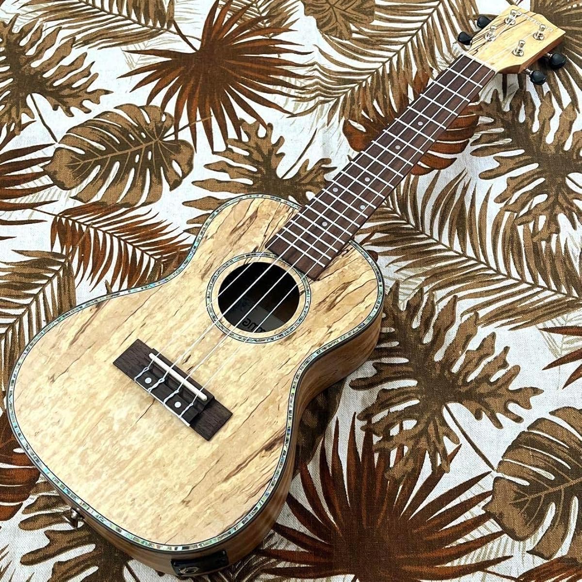 Rare material, spalted maple concert electric ukulele, ukulele specialty store