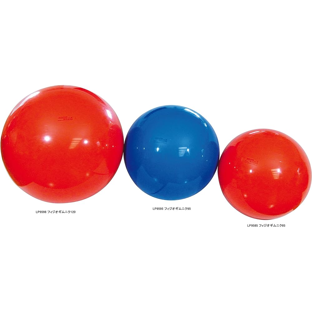 GYMNIC Physio Gymnic Made in Italy