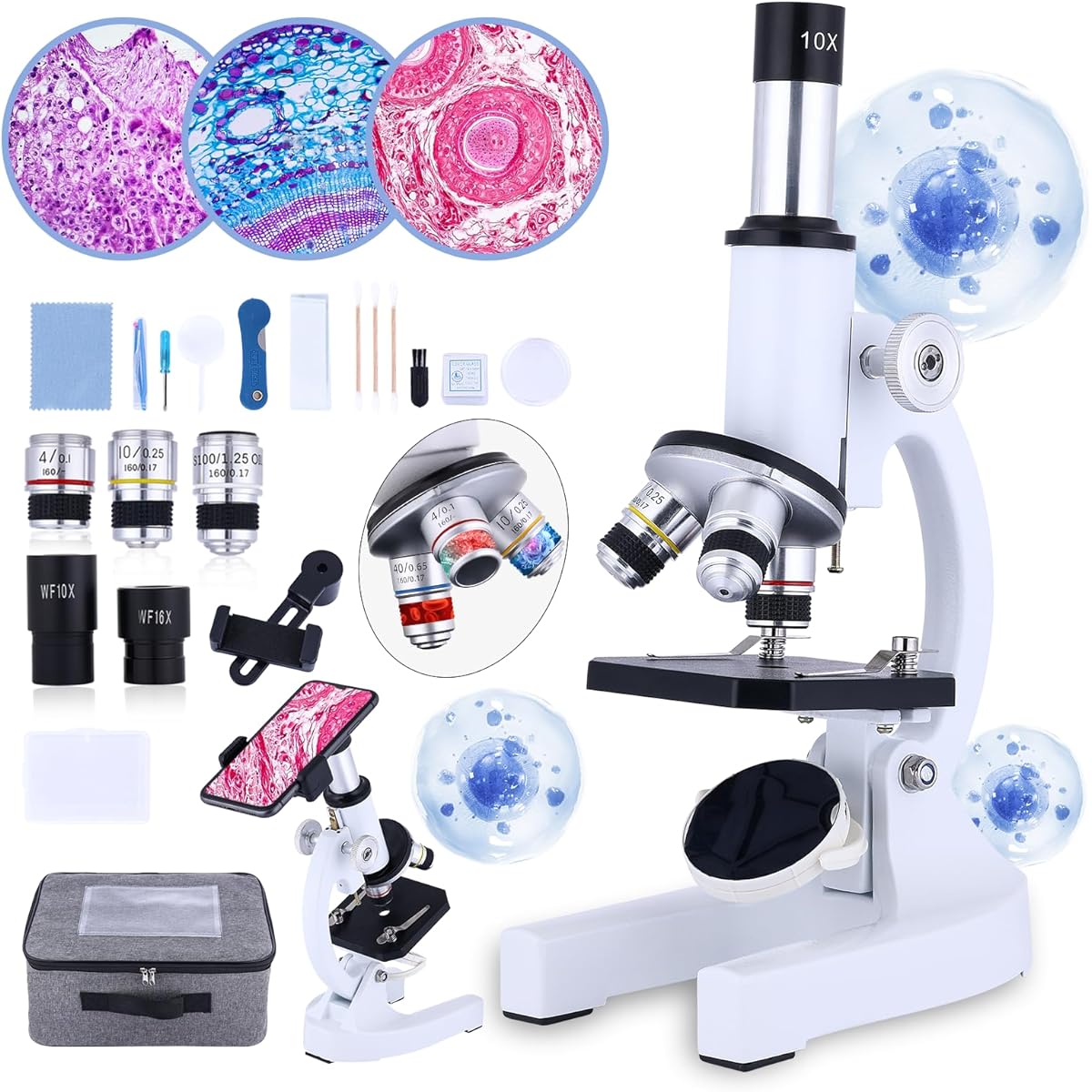 Misoterm Microscope for Kids & Beginners, 40X-1000X Kids Microscope Kit with Slide, Mobile Phone Adapter, School Lab Home Education, Gift for Children Students