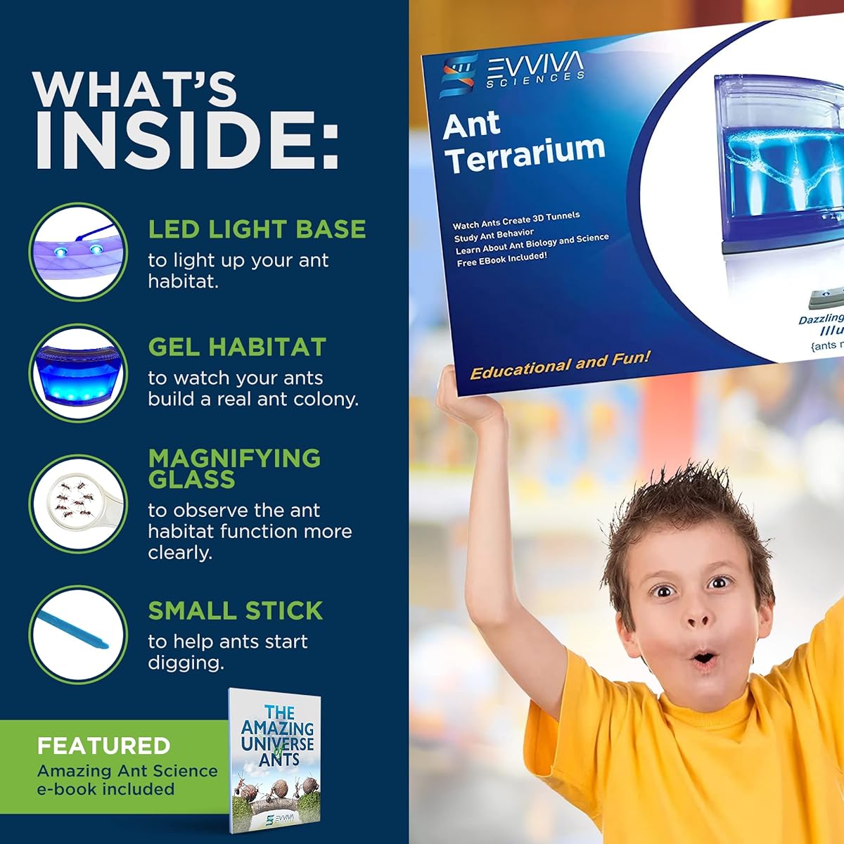 Ant Farm W/ LED Light. Enjoy A Magnificent Habitat. Great For Kids & Adults. Evviva Ant Ecosystem W/ Enhanced Blue Gel. Great Educational & Learning Science Kit. Live Harvester Ants Not Included.