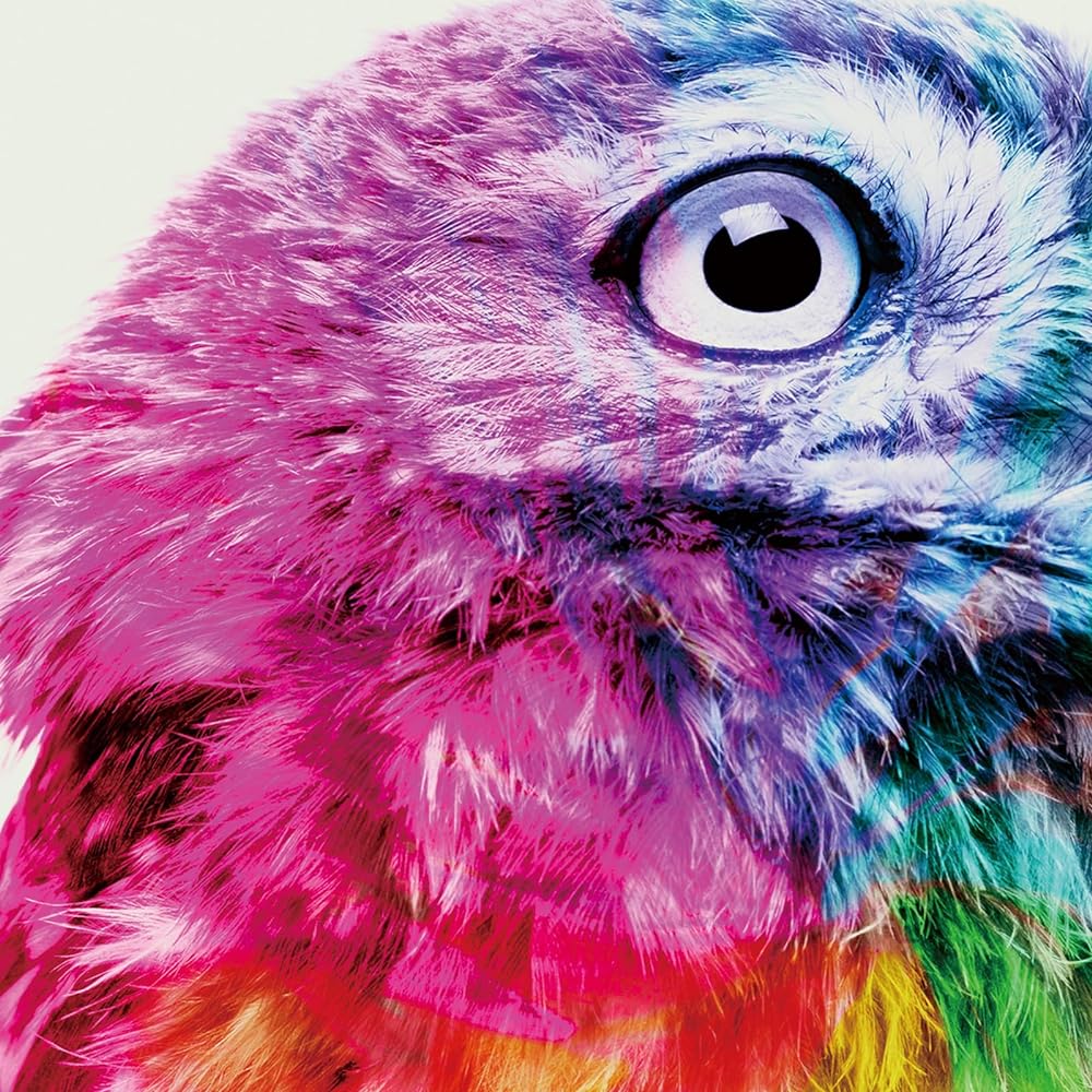 Painting "Owl Seeing the Future" Interior Wall Hanging Art Panel A3 Framed (Width 32cm x Height 43cm)