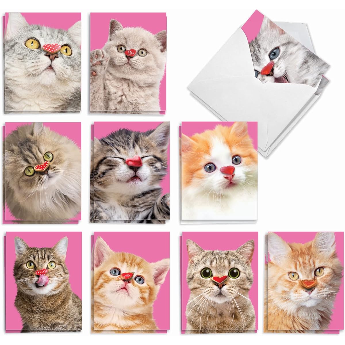 The Best Card Company Heart Cat - 20 Boxed Valentine's Day Note Cards with Envelopes (4 x 5.12 inches) - AM9266VDG-B2x10