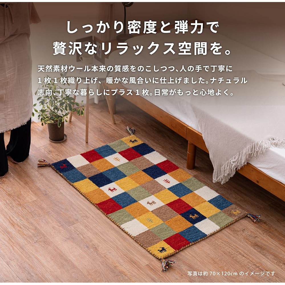 Hagiwara GABBEH Entrance Mat Indoor Approx. 45 x 75cm "GABBEH A3" Create a luxurious relaxing space
