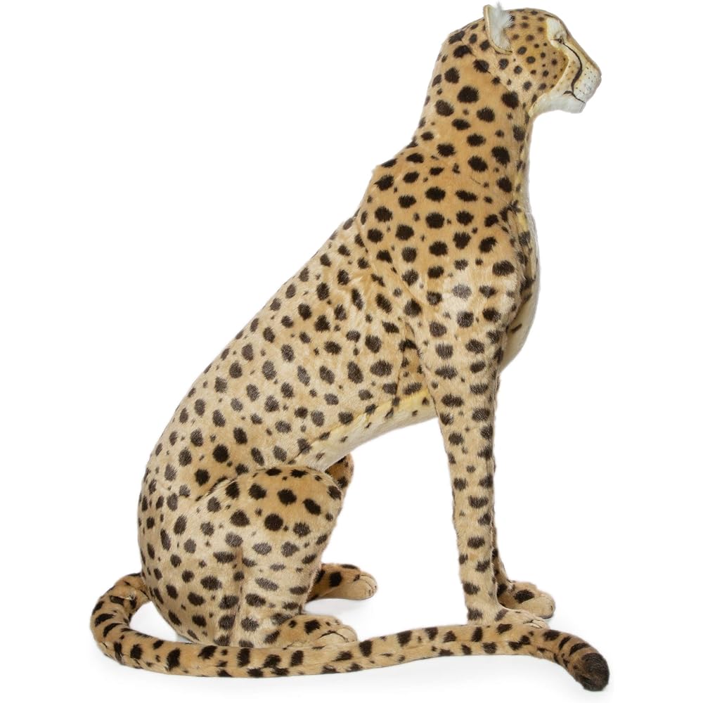 BH6543 HANSA Cheetah 110