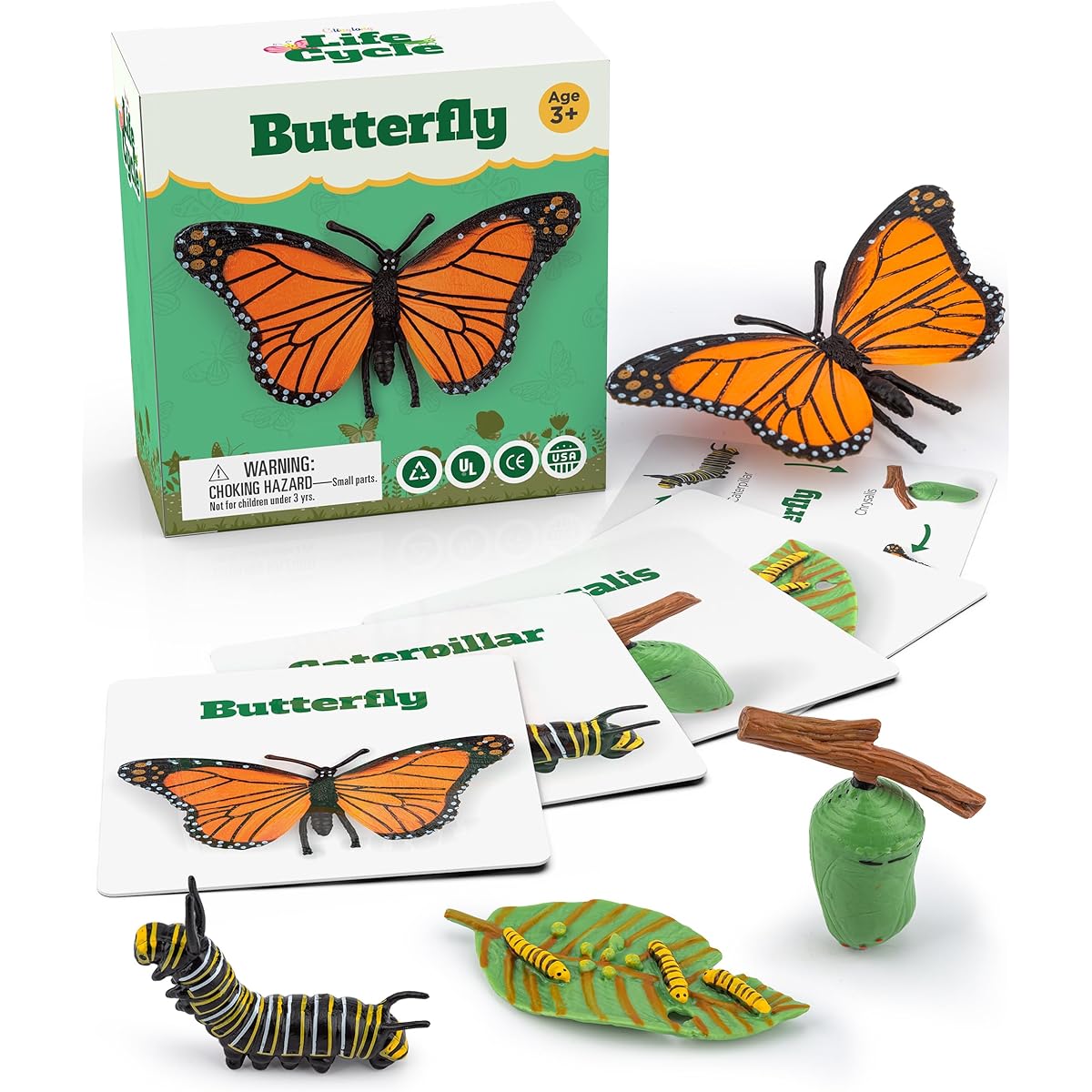 Life Cycle Kit Toy Science Montessori - Realistic Figurines Kids Animals Match Set Stocking Stuffers for Boys Girls Ages 3 4 5 6 7 8 9 (Life Cycle - Butterfly)