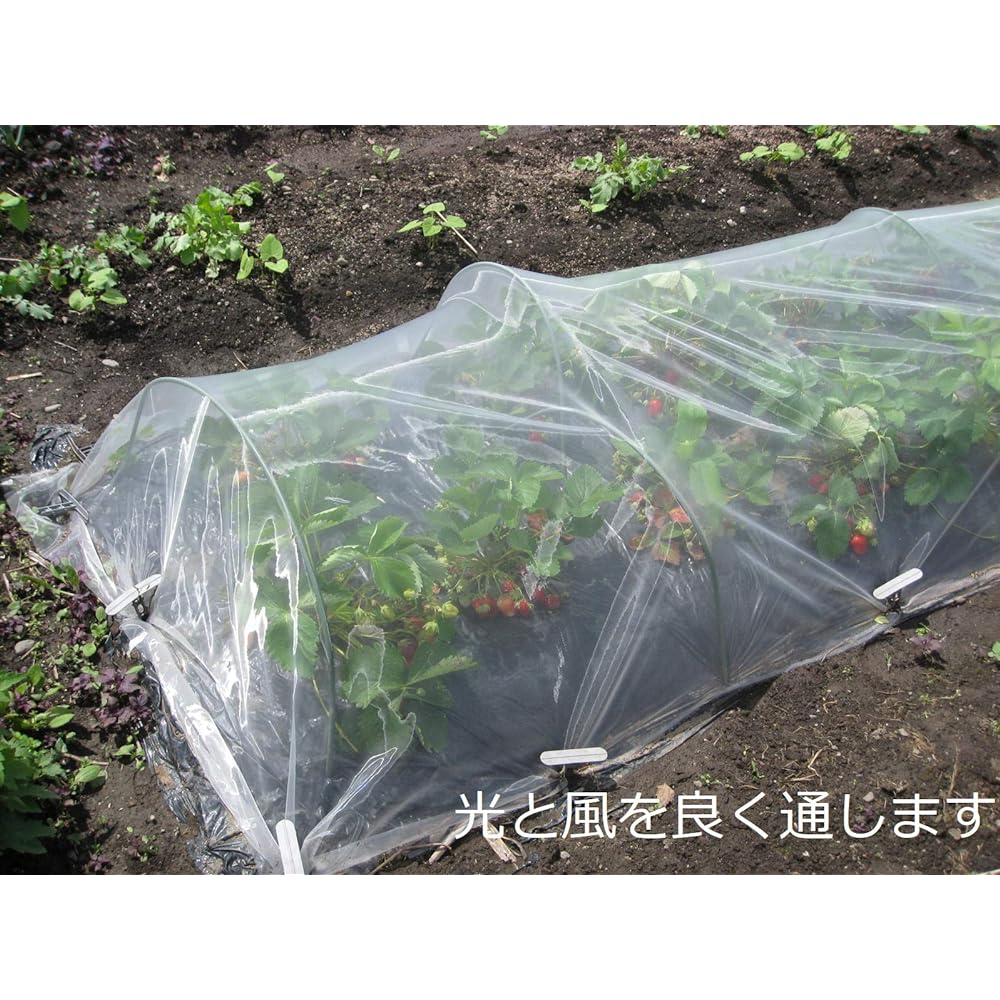 Agricultural Insect Net 0.25mm AJ Mesh Sheet 1.8 x 10m