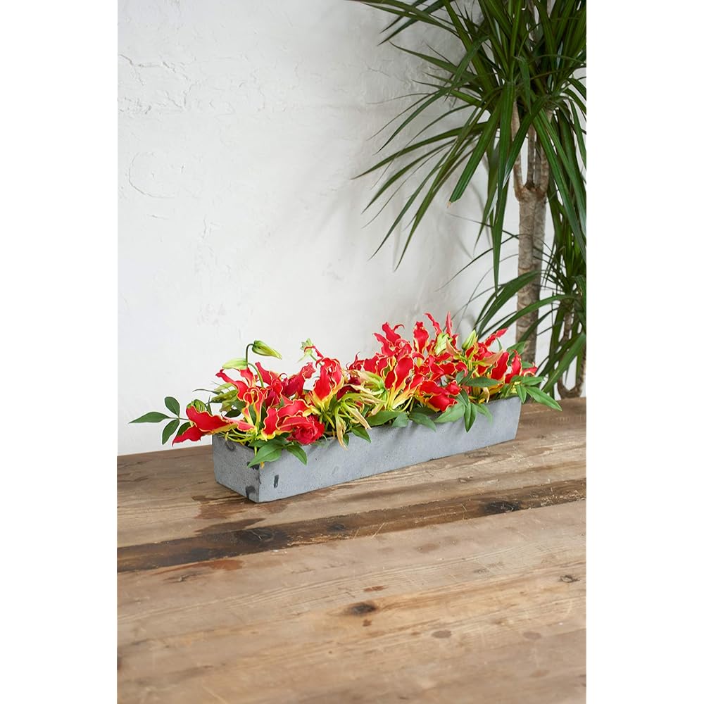 HitoHana Gloriosa Arrangement Red L