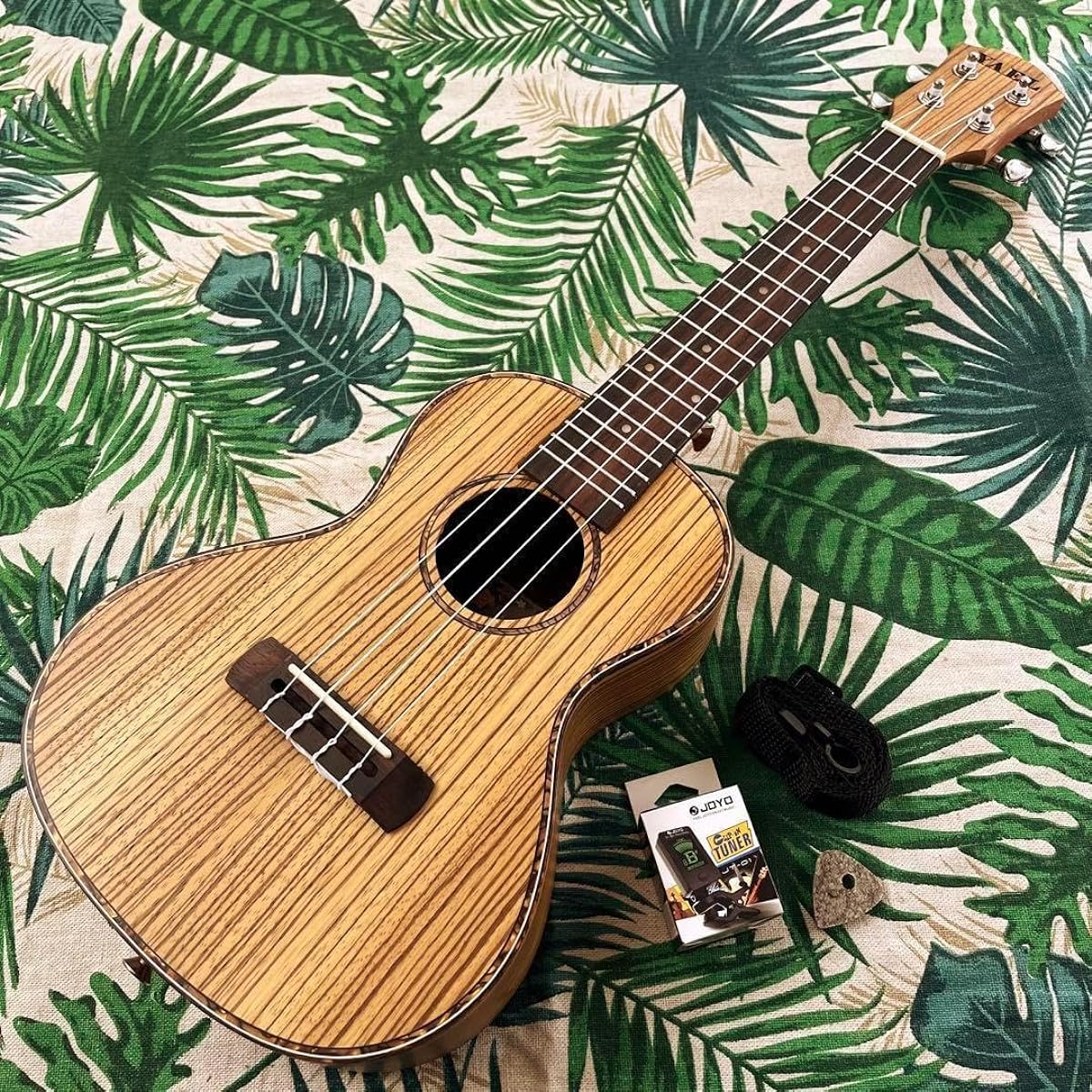 Beginner's Set Music's Zebrawood Concert Ukulele Ukulele Specialty Store