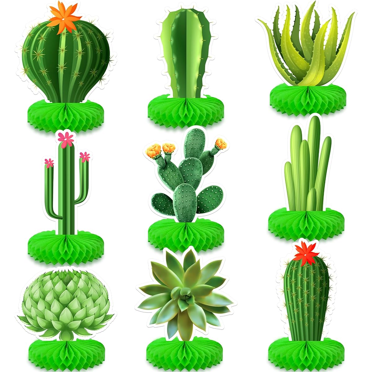 cactus honeycomb, green