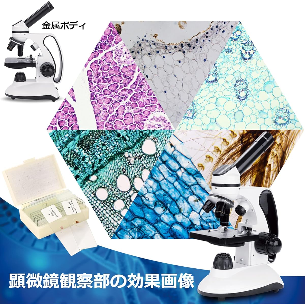 fication for Elementary School Children School Learning Smartphone Photography High Magnification Japanese Instruction Manual Included Biology Education Summer Vacation Science Kit with Microscope Portable Case AC Adapter 15 Slides for Lab Class Research