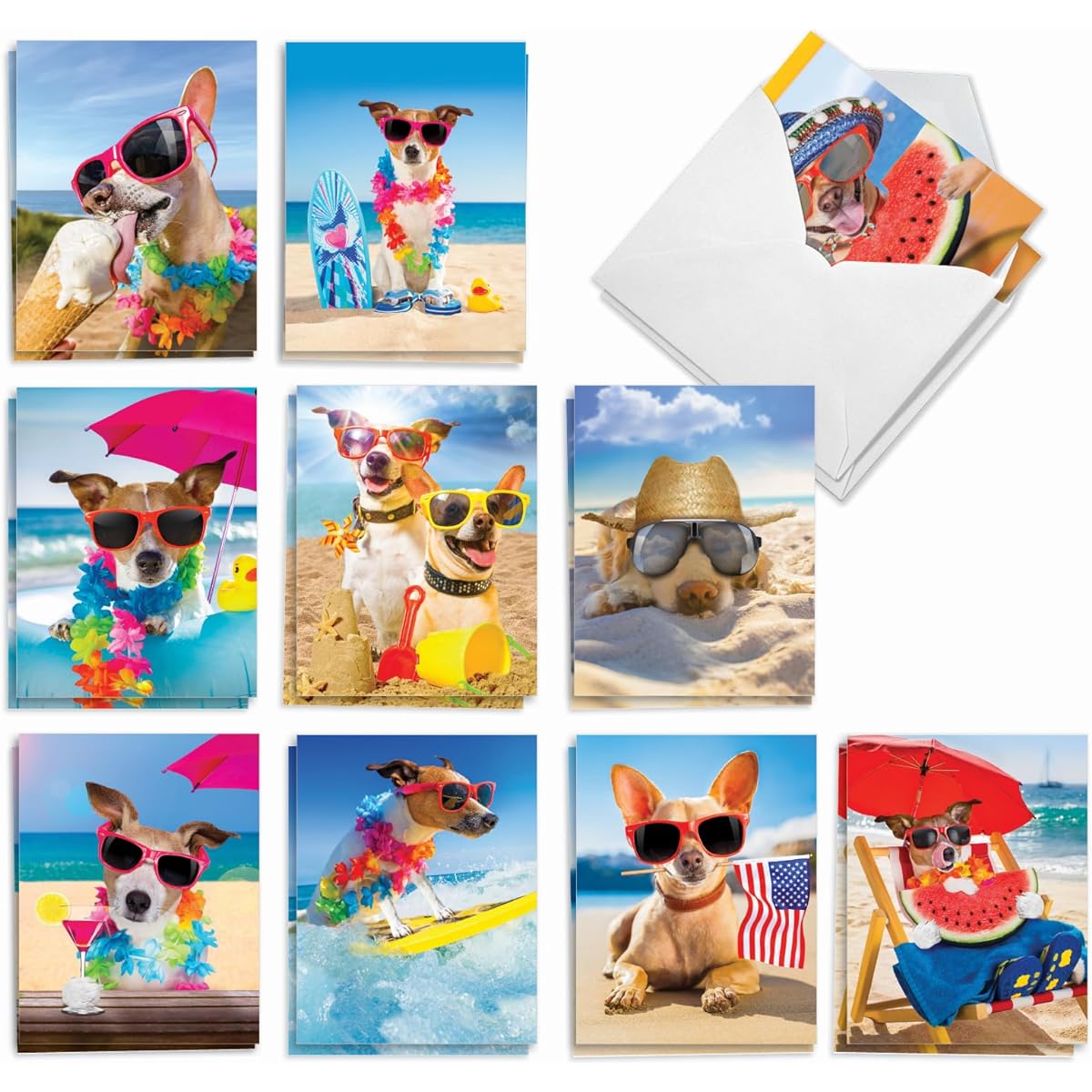 The Best Card Company - 20 Bulk Dog Note Card Blanks (4 x 5.12 inches) - Adorable Pet Puppy Note Cards (10 Designs, 2 of Each) - Dogs on the Beach AM9264OCB-B2x10