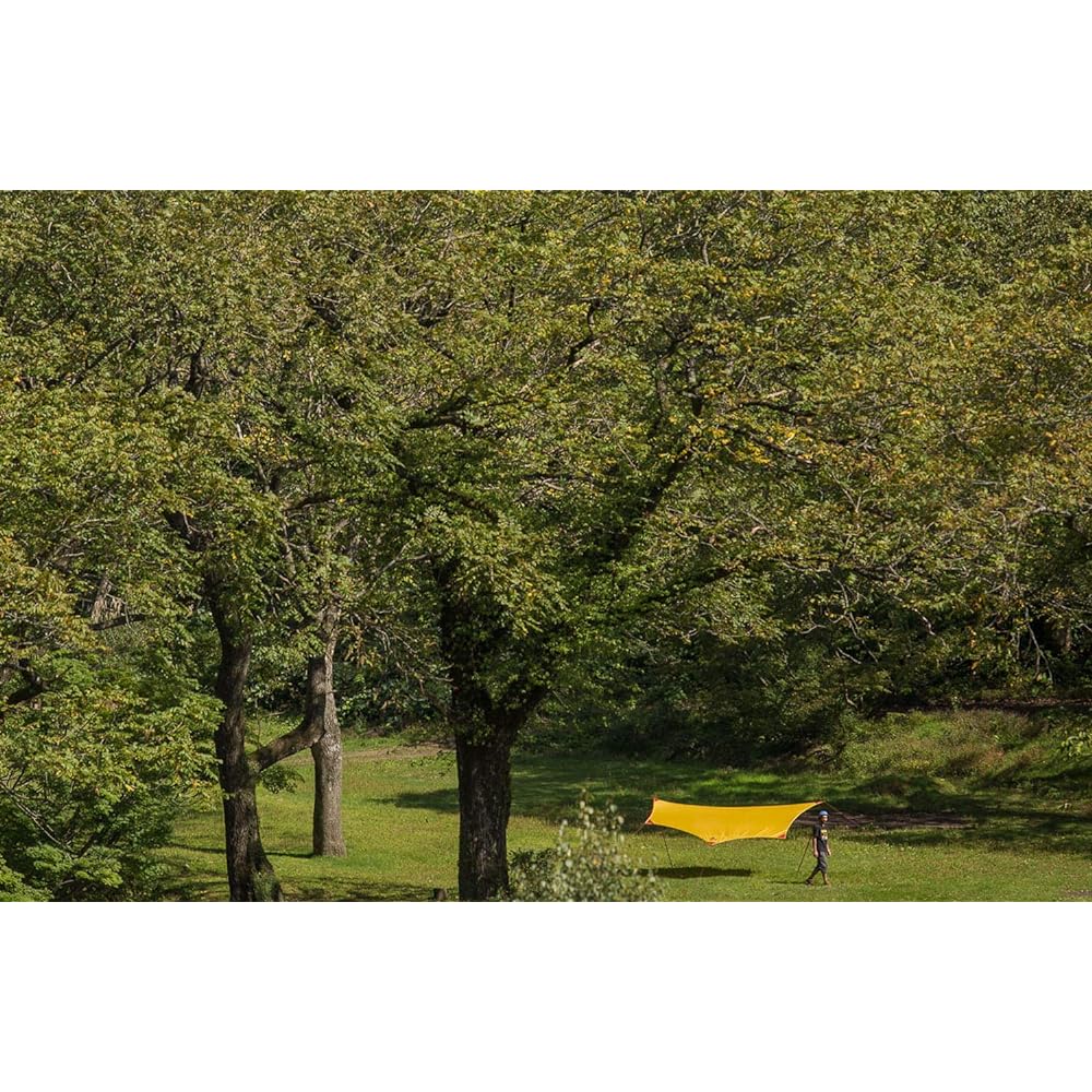 MSR Outdoor Camping Tarp Rendezvous Sun Shield 120 Wing/200 Wing [Genuine Japanese Product]