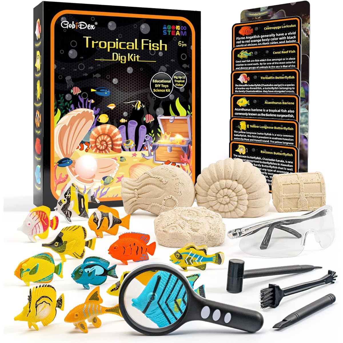 GobiDex Ocean Fish Dig Kit, Excavate 12 Sea Life Fish Toys, Science Kit for Kids 6-8-12 Years Old, STEM Educational Science Activity Toys for Boys and Girls, Ages 6+