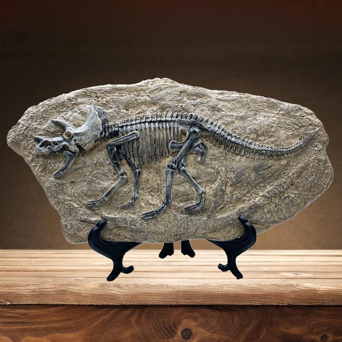 XINDAM Resin Triceratops Dinosaur Fossil Statue Model Imitation Skeleton Home Office Display Decoration Craft Box Decor (Style 6)