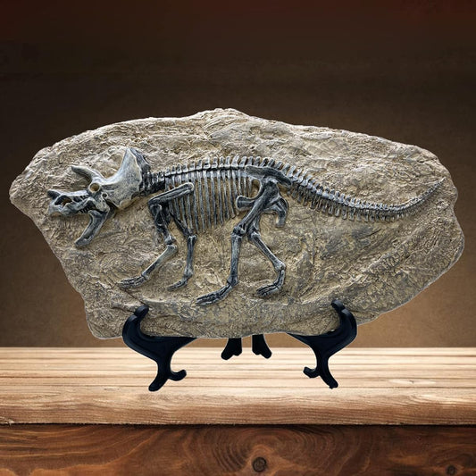 XINDAM Resin Triceratops Dinosaur Fossil Statue Model Imitation Skeleton Home Office Display Decoration Craft Box Decor (Style 6)