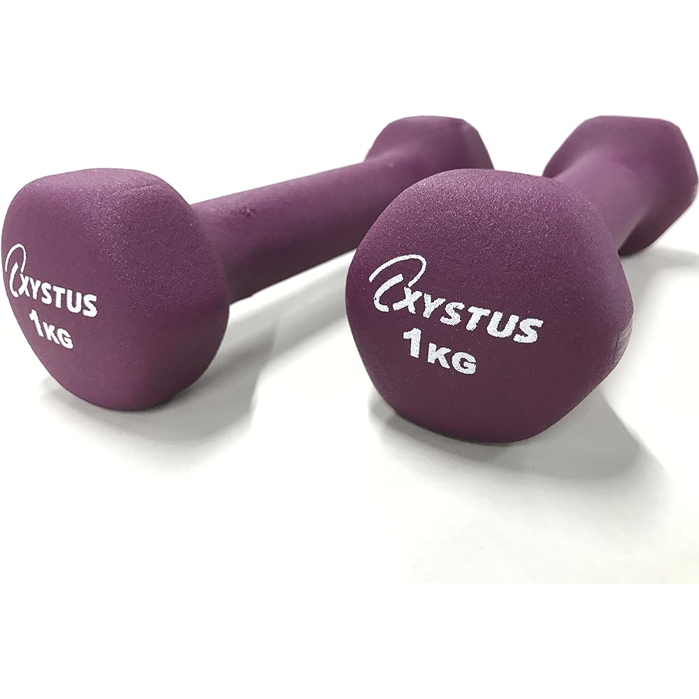 TOEI LIGHT XYSTUS Rubber coated dumbbells 2 pieces 1 set Surface rubber coating