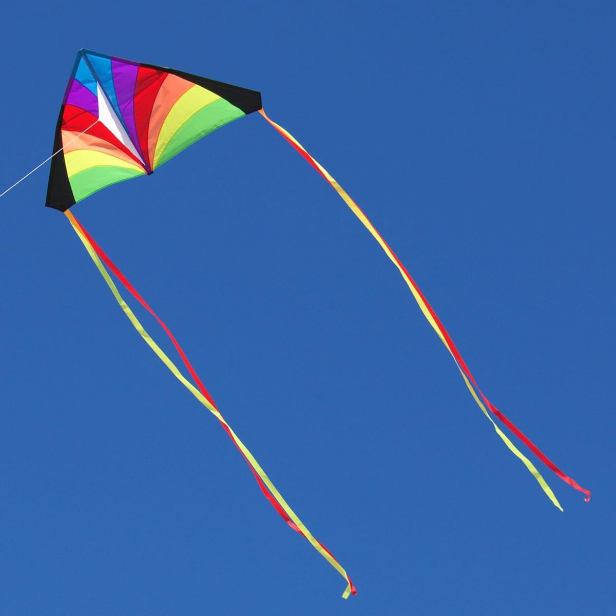 Into The Wind Rainbow Kid's Delta Kite