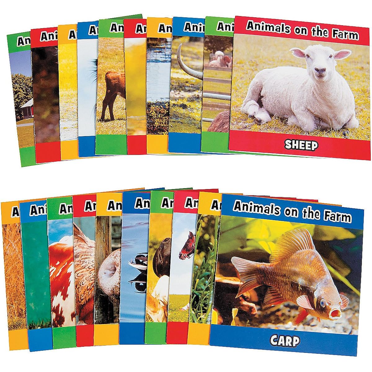 Fun Express Farm Animal Readers (20 Pieces) - 20 Pieces - Educational and Learning Activities for Kids