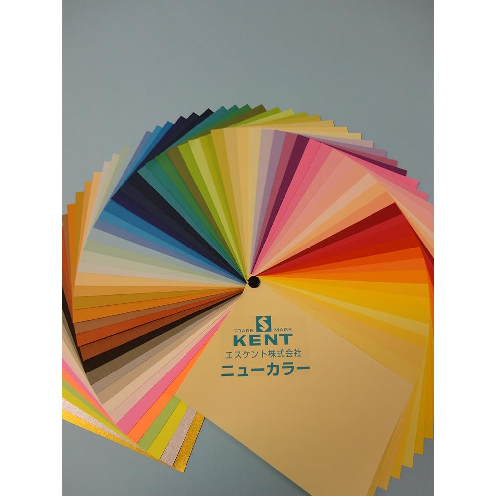 Eskent Colored Drawing Paper Yagiri Gin 100 Sheets 208018