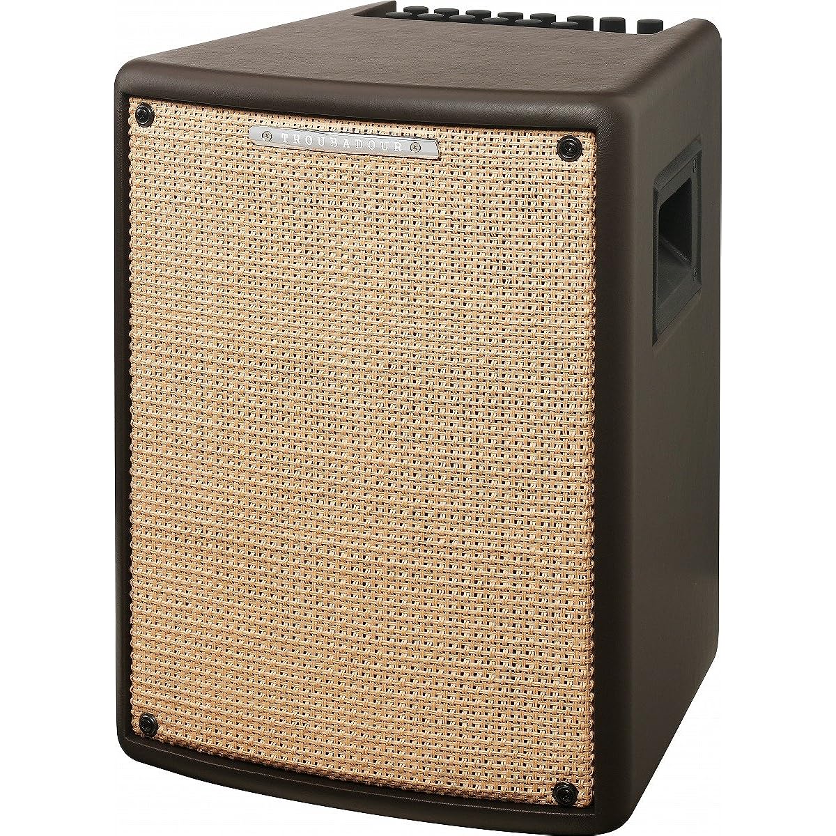 Ibanez compact combo amplifier for electric acoustic guitar and ukulele 15W output Troubadour T15II