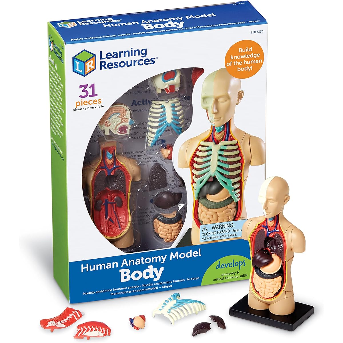 Learning Resources Anatomy Model Human Body