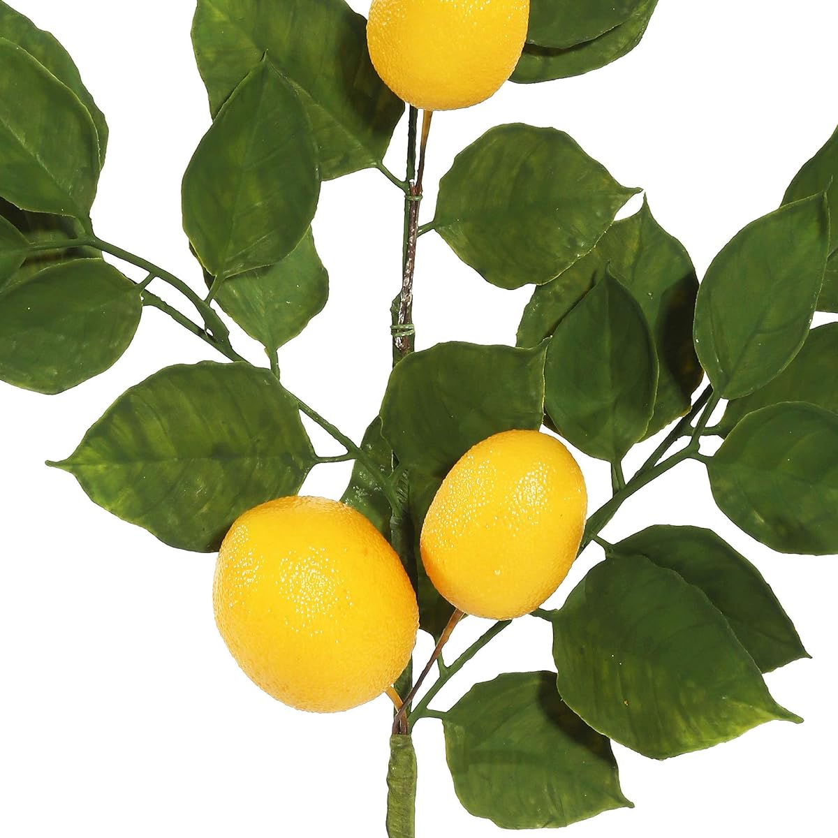 Vickerman 6 ft. Artificial Green and Yellow Salar Garland with 14 Beautiful Lifelike Lemons for Classic Elegant Home Decor Maintenance Free Lemon Garland