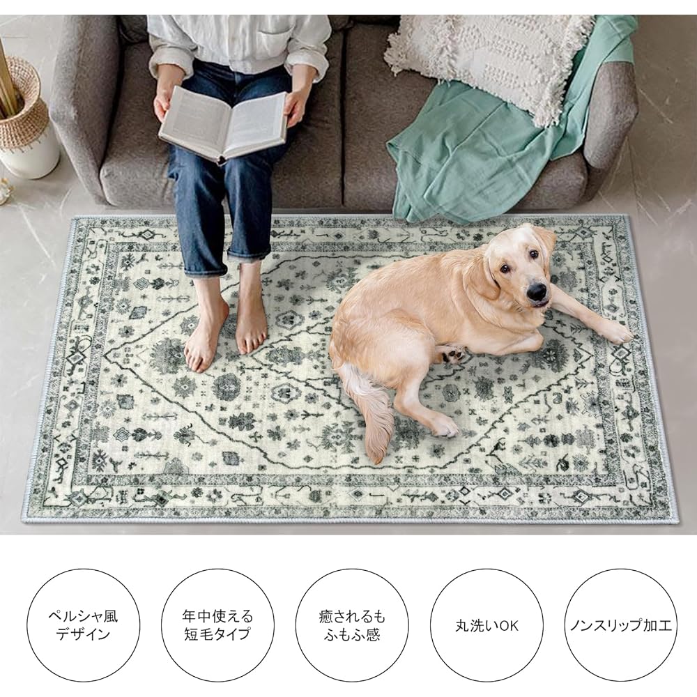 HAOCOO Carpet Rug, Washable, 185 x 185 cm, Suitable for All Seasons, Ethnic Style Rug, 2 Tatami Mats, Square, Fluffy, Non-Slip, Memory Foam, Dust Mite Resistant, Odor Resistant, Lightweight, Soundproof Mat, Desk Mat, Dining Mat, Compatible with Hot Carpe