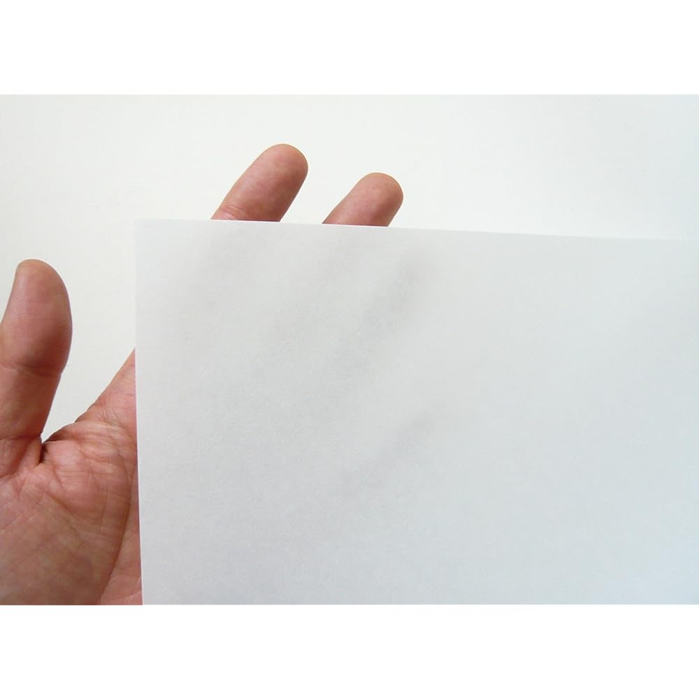 Washi Kawasumi OA Washi Echizen Washi Hakeme Torinoko White A3 size 100 sheets