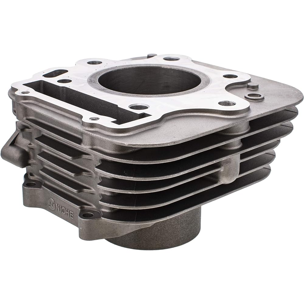 NICHE 300cc Engine Cylinder Honda 1993-2009 Sportrax TRX300EX TRX300X 12100-HM3-L00