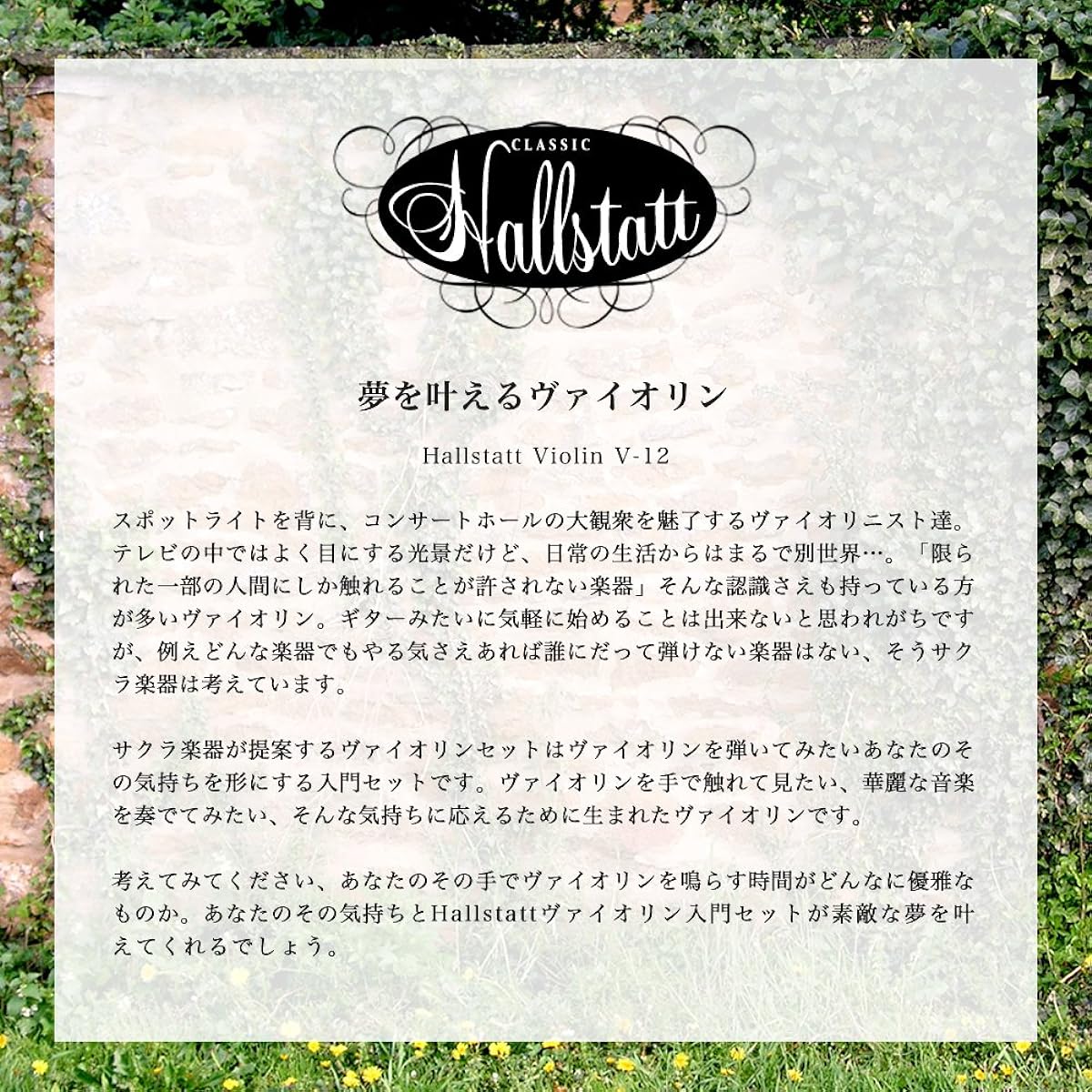 Hallstatt Violin V-12/WH 4/4 size violin Sakura musical instrument original beginner introductory set