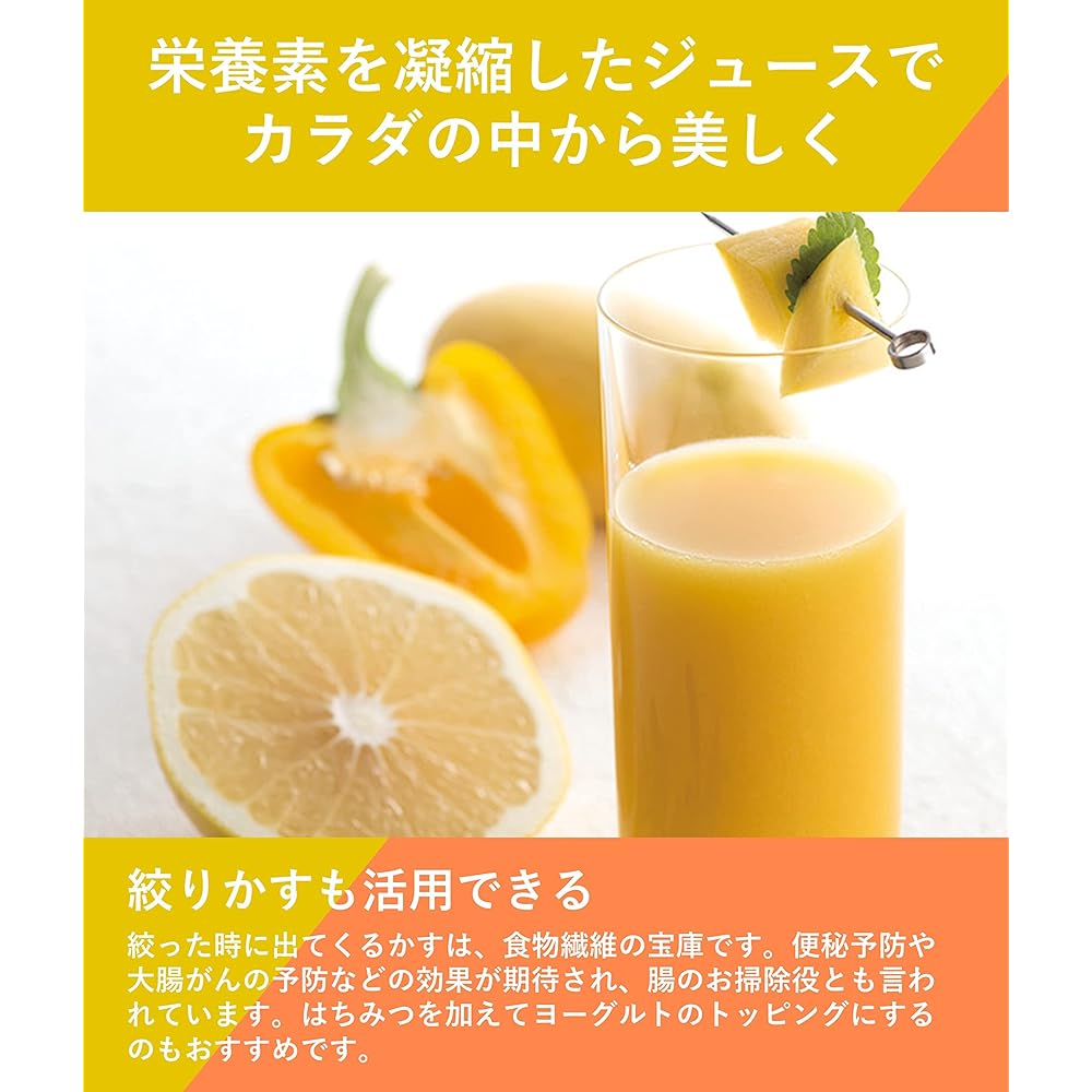 Panasonic Juicer Low Speed Vitamin Server Cold Press Aragoshi Compatible with Frozen Recipe Book Graphite Gray MJ-L600-H
