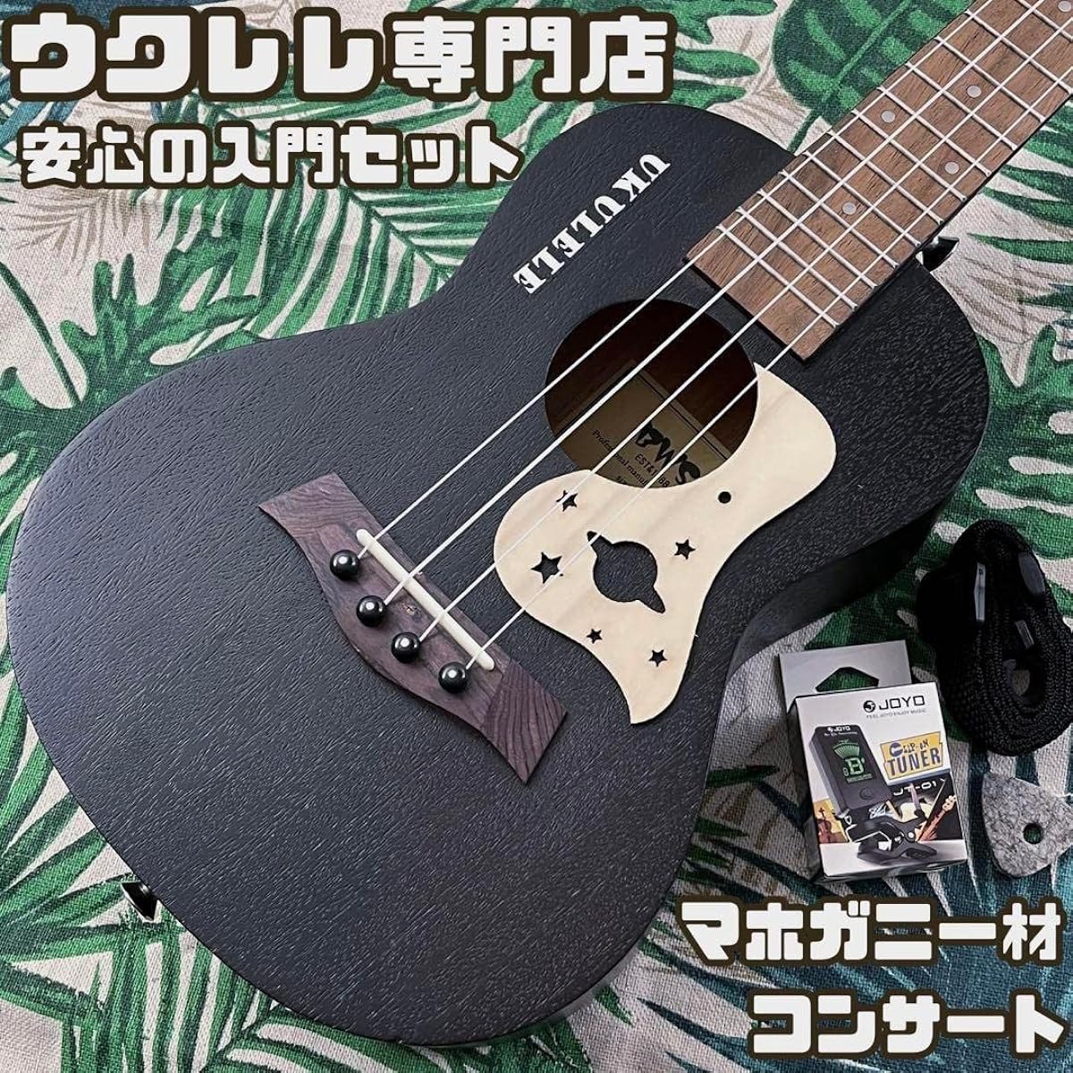 Beginner's Set BWS Mahogany Black Concert Ukulele Ukulele Specialty Store
