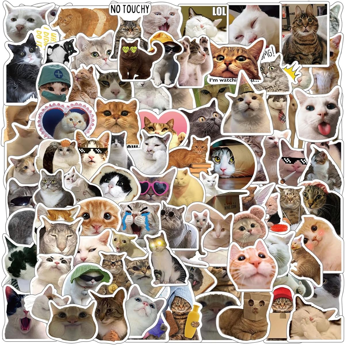 Cat Memes